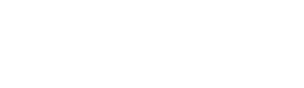 Taleb